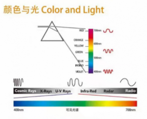 光与颜色：自然界万物的视觉基础