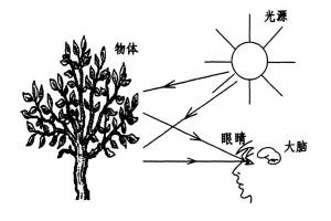 颜色形成有哪些条件